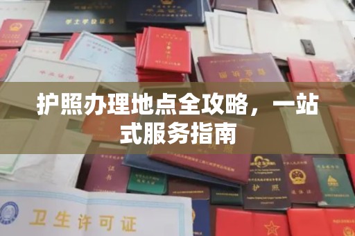 鸟松护照办理地点全攻略，一站式服务指南