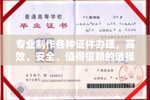 鸟松专业制作各种证件办理，高效、安全、值得信赖的选择