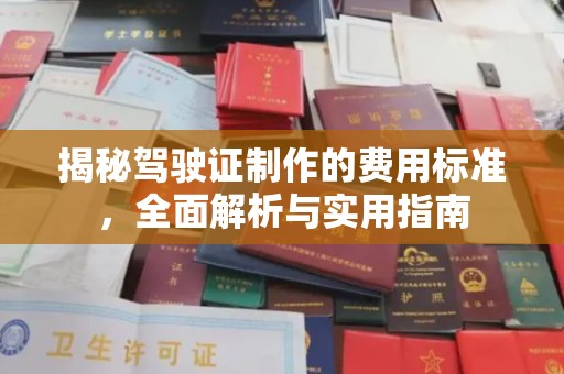 鸟松揭秘驾驶证制作的费用标准，全面解析与实用指南