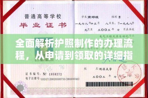 鸟松全面解析护照制作的办理流程，从申请到领取的详细指南