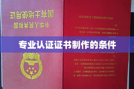鸟松专业认证证书制作的条件