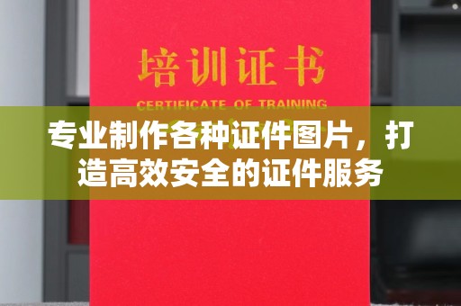 鸟松专业制作各种证件图片，打造高效安全的证件服务