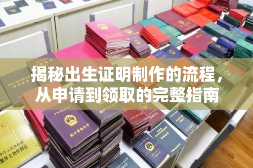 鸟松揭秘出生证明制作的流程，从申请到领取的完整指南