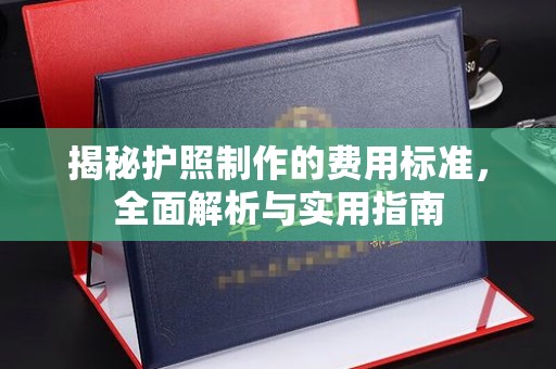 鸟松揭秘护照制作的费用标准，全面解析与实用指南
