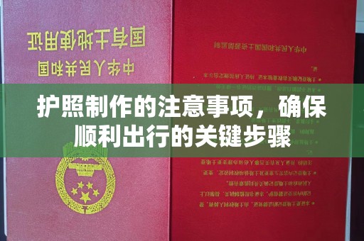 鸟松护照制作的注意事项，确保顺利出行的关键步骤