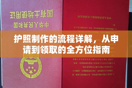 鸟松护照制作的流程详解，从申请到领取的全方位指南