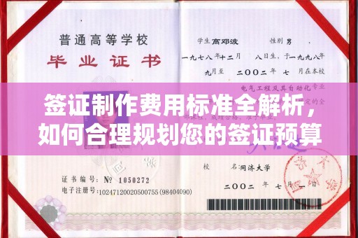 鸟松签证制作费用标准全解析，如何合理规划您的签证预算？