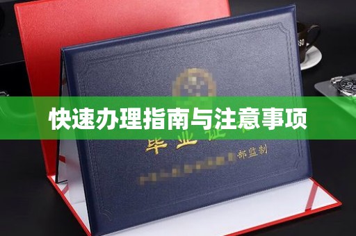 鸟松快速办理指南与注意事项